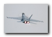 F/A-18F Super Hornet, VFA-122 Flying Eagles, USN