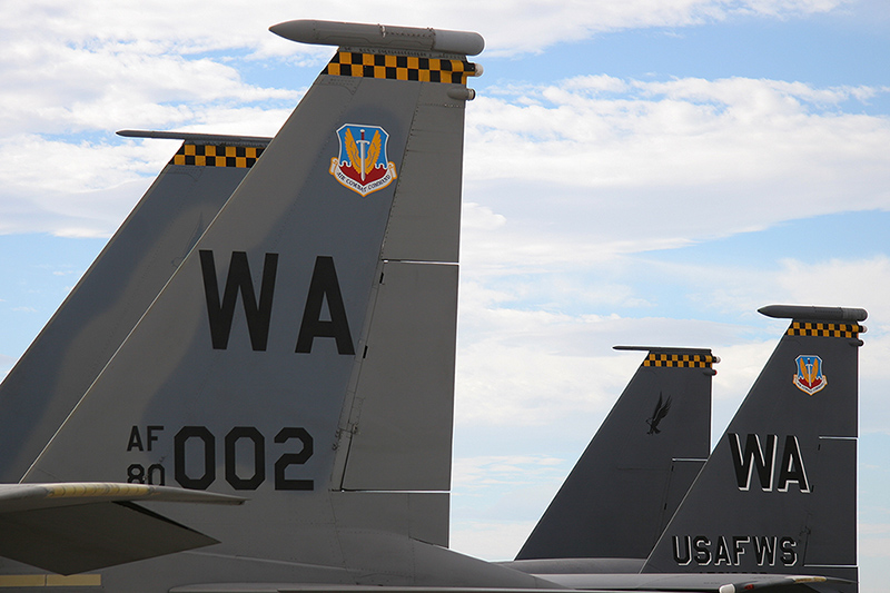 F-15C Eagle, 433rd WPS, USAF<br>F-15E Strike Eagle, 17th WPS, USAF