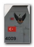NF-5B-2000, 133 Filo, Turkish AF
