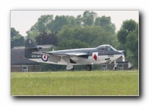 Sea Hawk FGA.6, RNHF, RN