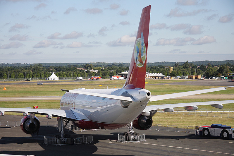 Airbus A330-223, Kingfisher
