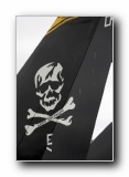 F-14D Tomcat, VFA-103 <i>Jolly Rogers</i>, USN
