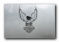 F-14D Tomcat, VFA-103 <i>Jolly Rogers</i>, USN