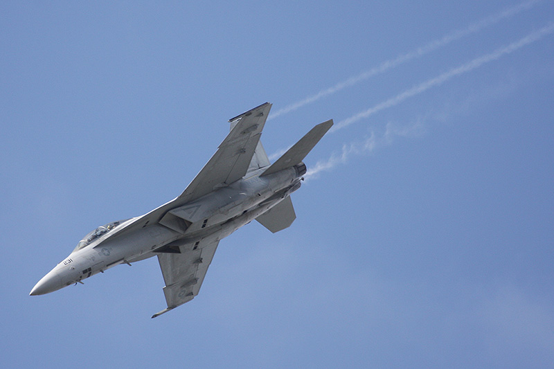 F/A-18F Super Hornet, VFA-106 <i>Gladiators</i>, USN