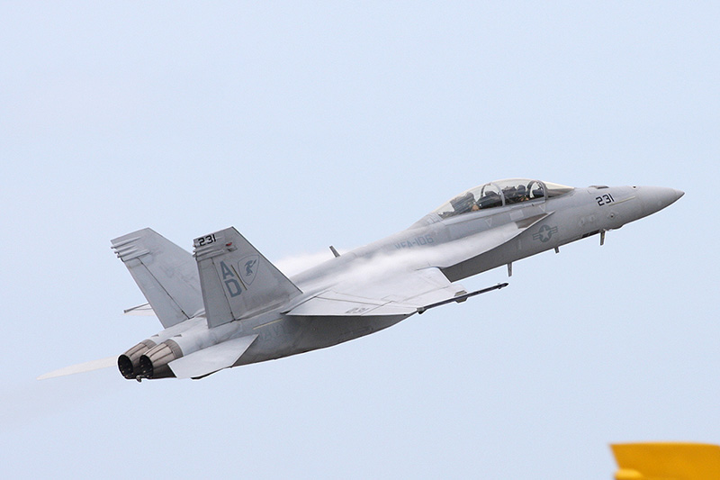 F/A-18F Super Hornet, VFA-106 <i>Gladiators</i>, USN
