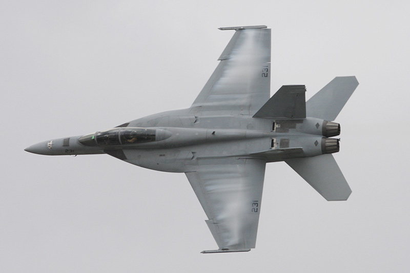 F/A-18F Super Hornet, VFA-106 <i>Gladiators</i>, USN
