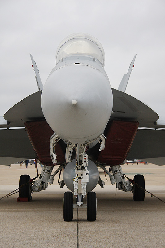 F/A-18F Super Hornet, VFA-211 <i>Fighting Checkmates</i>, USN