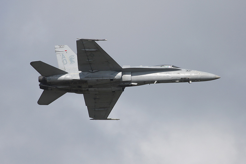 F/A-18C Hornet, VFA-106 <i>Gladiators</i>, USN