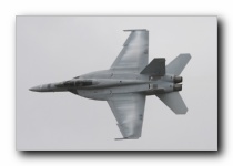 F/A-18F Super Hornet, VFA-106 <i>Gladiators</i>, USN