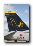 F/A-18F Super Hornet, VFA-32 <i>Swordsmen</i>, USN