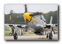 P-51D Mustang <i>Little Horse</i>