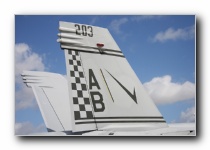 F/A-18F Super Hornet, VFA-211 <i>Fighting Checkmates</i>, USN