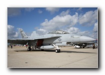 F/A-18F Super Hornet, VFA-211 <i>Fighting Checkmates</i>, USN