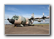 RIAT2010_41.JPG